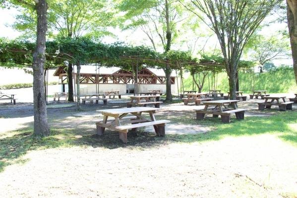 🌸 가고시마 도시농업센터(가고시마 토시노교센타) 이미지 5